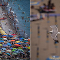 Vietri Sul Mare, the first summer Sunday with the watchful seagull