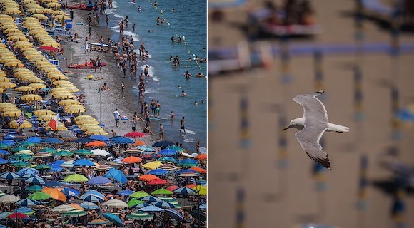 Vietri Sul Mare, the first summer Sunday with the watchful seagull