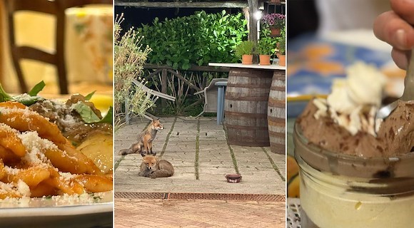 Where foxes roam and tradition lives on: dining at "il Frescale" in Tramonti